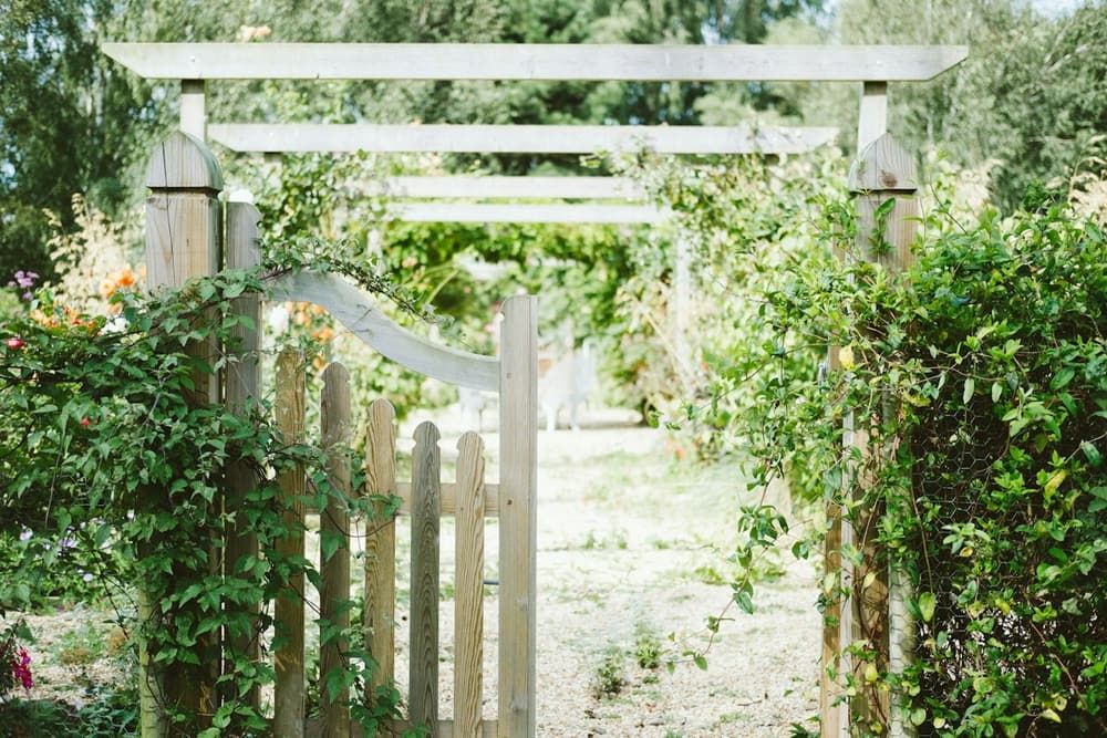 Portillon de jardin en bois blanc sous une arche végétale