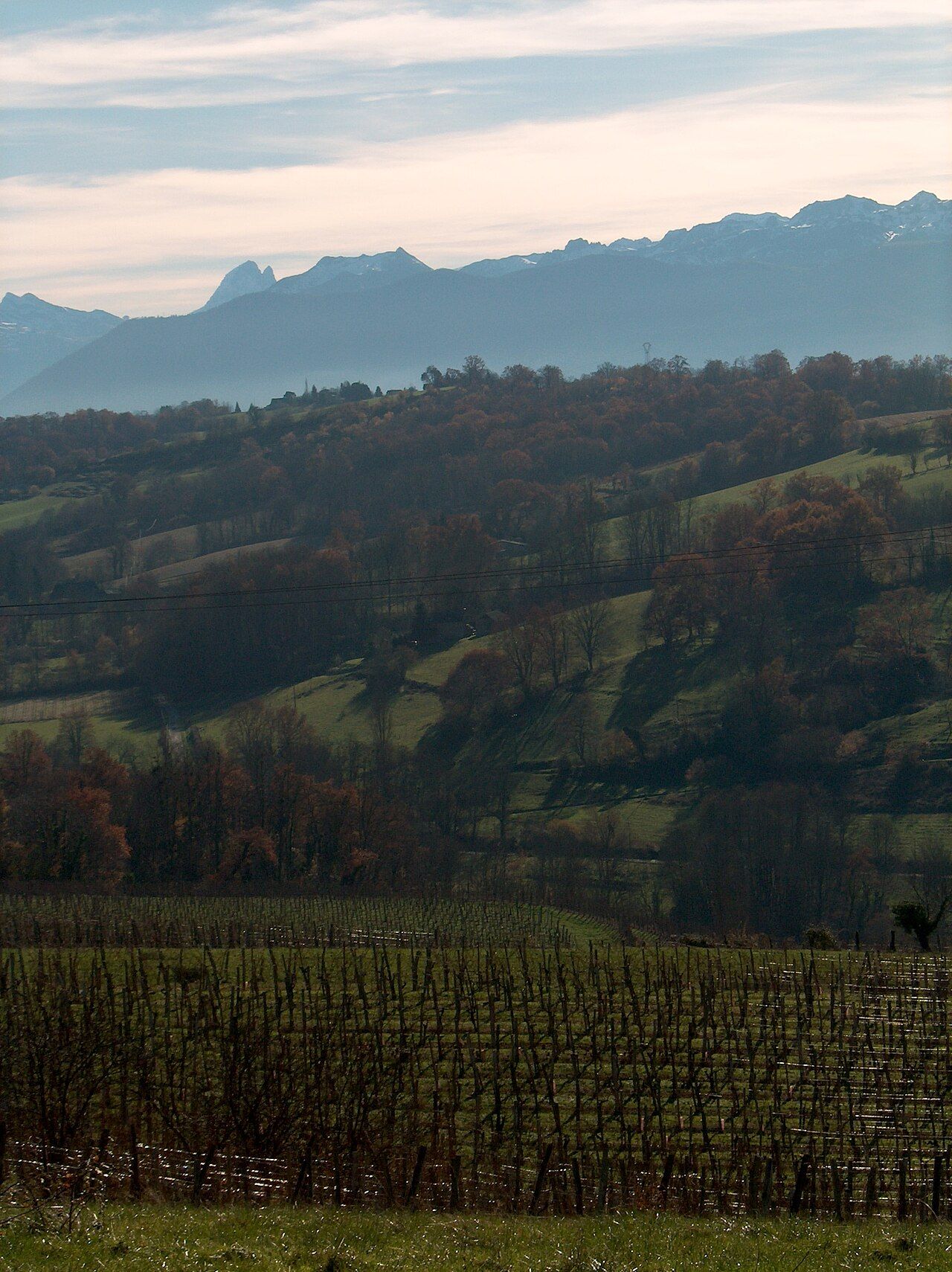 Coteaux boisés et vignes de Jurançon
